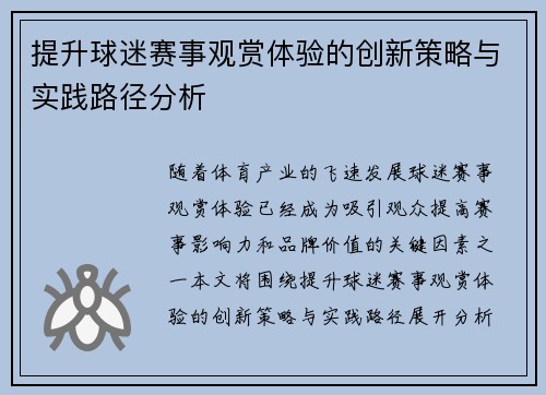 提升球迷赛事观赏体验的创新策略与实践路径分析